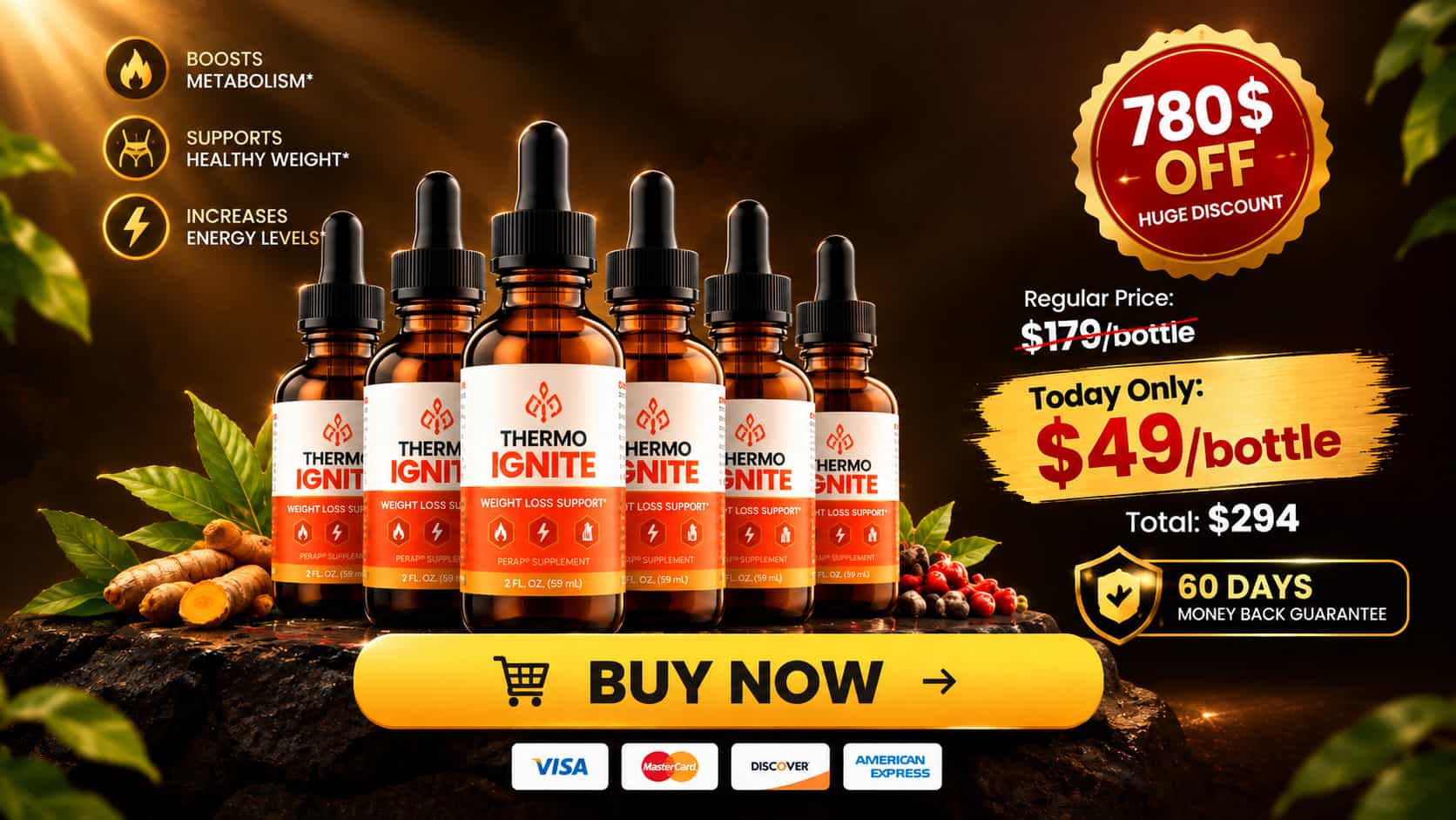 Thermo Ignite 6 bottles buy